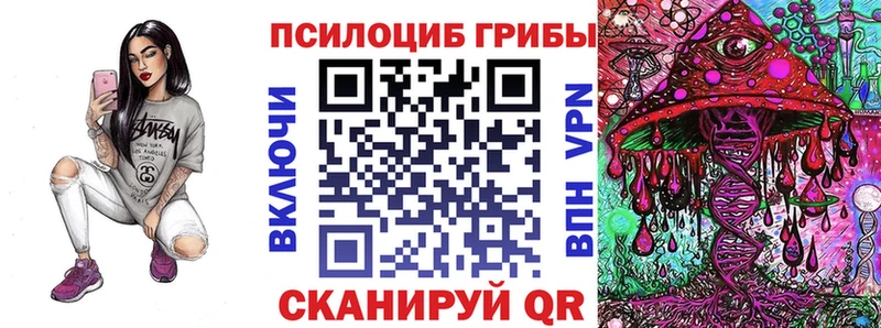 кракен маркетплейс  Киселёвск  Галлюциногенные грибы мицелий 